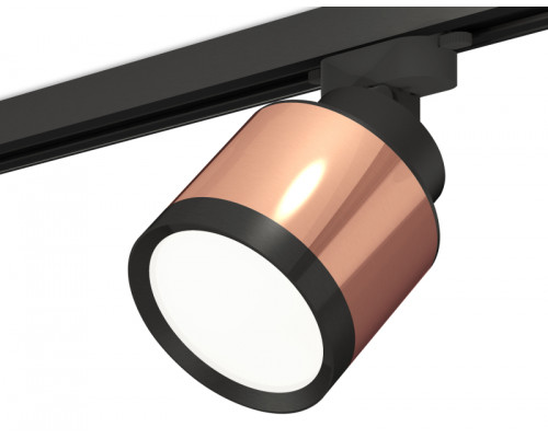 Основное фото Светильник трековый Ambrella Light Track System XT8122001 (A2526, A2106, C8122, N8113): Купить в Интернет магазин освещения GCSVET.RU