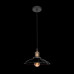 Дополнительное фото Светильник подвесной LOFT IT Factory filament Loft1101: Купить в Интернет магазин освещения GCSVET.RU