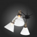 Дополнительное фото Люстра подвесная ST Luce Evoluto SL237.413.05: Купить в Интернет магазин освещения GCSVET.RU