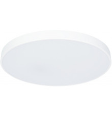 Светильник потолочный LED Arte Lamp Arena A2671PL-1WH