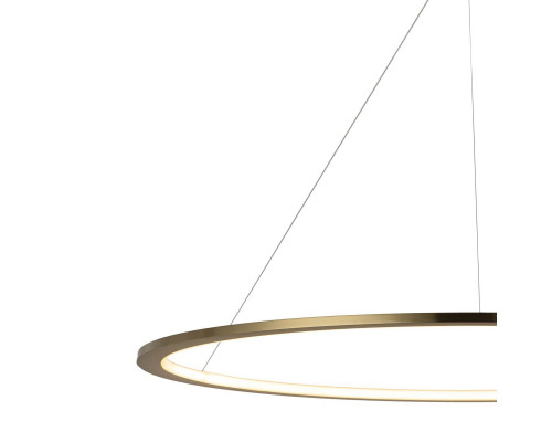 Дополнительное фото Светильник подвесной LED Loft IT Ring 10014XXL: Купить в Интернет магазин освещения GCSVET.RU