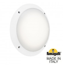 Светильник настенный для улицы Fumagalli 1R3.000.000.WYE27