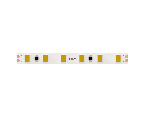 Основное фото Лента светодиодная Arte Lamp Tape 24В 9,6Вт/м 3000К 5м IP20 A2412005-01-3K: Купить в Интернет магазин освещения GCSVET.RU
