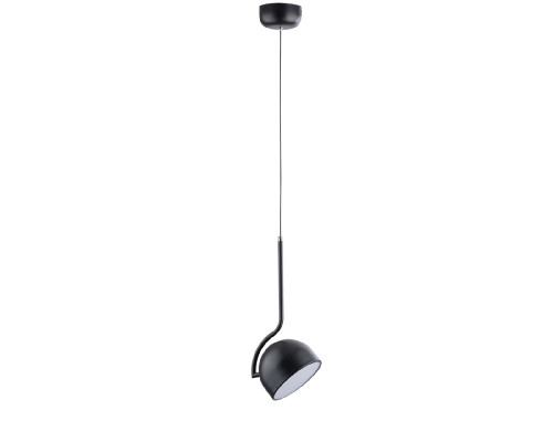 Основное фото Светильник подвесной Lumion Arlo 6502/10L: Купить в Интернет магазин освещения GCSVET.RU