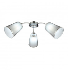 Люстра потолочная EVOLUCE MALEONTE SLE103002-03