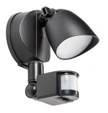 Светильник настенный LED для улицы Lightstar Diva 374337