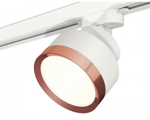 Основное фото Светильник трековый Ambrella Light Track System XT8101005 (A2524, A2105, C8101, N8126): Купить в Интернет магазин освещения GCSVET.RU