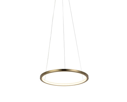 Дополнительное фото Светильник подвесной LED Loft IT Ring 10014S: Купить в Интернет магазин освещения GCSVET.RU