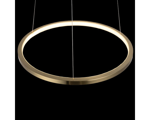 Дополнительное фото Светильник подвесной LED Loft IT Ring 10014S: Купить в Интернет магазин освещения GCSVET.RU