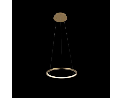 Дополнительное фото Светильник подвесной LED Loft IT Ring 10014S: Купить в Интернет магазин освещения GCSVET.RU