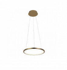 Светильник подвесной LED Loft IT Ring 10014S