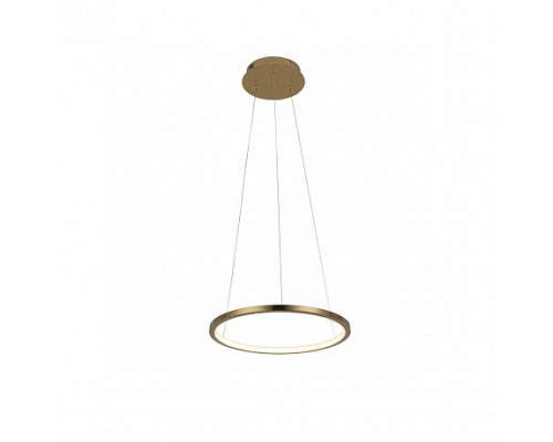 Основное фото Светильник подвесной LED Loft IT Ring 10014S: Купить в Интернет магазин освещения GCSVET.RU