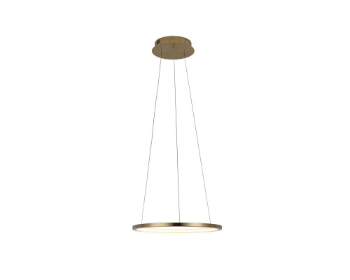 Дополнительное фото Светильник подвесной LED Loft IT Ring 10014S: Купить в Интернет магазин освещения GCSVET.RU