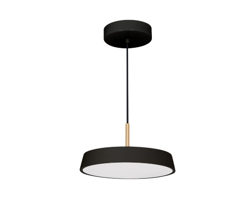 Основное фото Светильник подвесной Arlight SP-ELEGANT-R300-17W Day4000 (BK, 120 deg, 230V) 033920(1): Купить в Интернет магазин освещения GCSVET.RU
