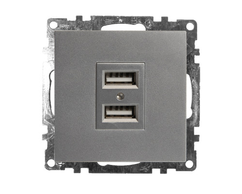 Основное фото Розетка USB 2-местная Stekker Катрин 39588: Купить в Интернет магазин освещения GCSVET.RU