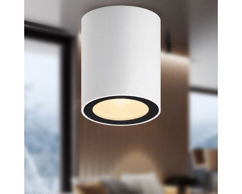 Дополнительное фото Светильник накладной Эра OL48 WH/BK Б0059799: Купить в Интернет магазин освещения GCSVET.RU