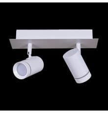 Светильник спот Reluce 84281-9.5-002RT LED2*5W WT