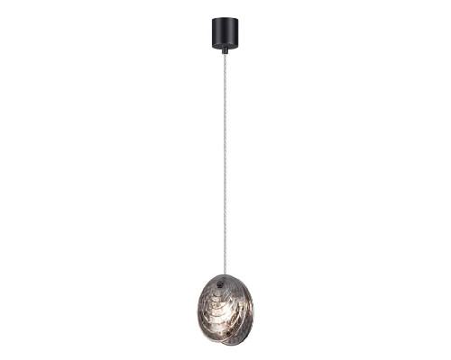 Дополнительное фото Светильник подвесной Odeon Light Mussels 5038/1A: Купить в Интернет магазин освещения GCSVET.RU