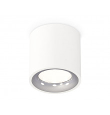 Светильник потолочный Ambrella Light Techno Spot XS7531022 (C7531, N7012)