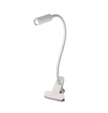 Лампа настольная Citilux Ньютон CL803060N