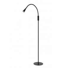 Напольный светильник Lucide Zozy 18756/03/30