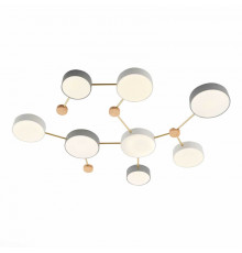 Светильник потолочный Evoluce Dossena SLE600102-08