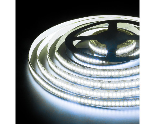 Дополнительное фото Светодиодная лента Elektrostandard 24V 24W 240Led 2835 IP20 холодный белый, 5м 4690389167645: Купить в Интернет магазин освещения GCSVET.RU