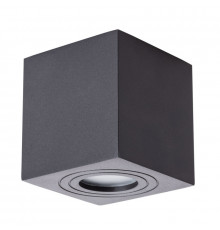 Светильник накладной ARTE Lamp A1461PL-1BK