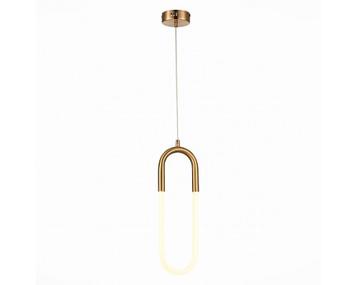 Основное фото Светильник подвесной LED ST Luce Mofisto SL1579.303.01: Купить в Интернет магазин освещения GCSVET.RU