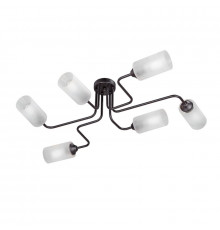 Люстра потолочная Vitaluce V4310-1/6PL