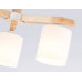 Дополнительное фото Люстра потолочная Ambrella Light Loft TR83112: Купить в Интернет магазин освещения GCSVET.RU