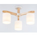 Дополнительное фото Люстра потолочная Ambrella Light Loft TR83112: Купить в Интернет магазин освещения GCSVET.RU