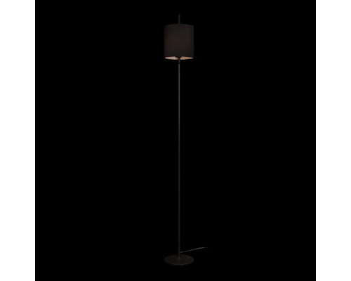 Дополнительное фото Напольный светильник Loft IT Ritz 10253F/A Black: Купить в Интернет магазин освещения GCSVET.RU