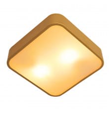 Светильник потолочный Arte Lamp Cosmopolitan A7210PL-2GO