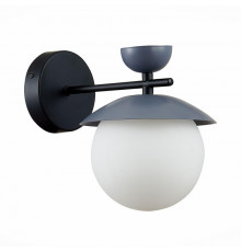 Настенный светильник Evoluce Genova SLE220201-01