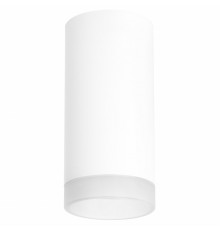 Светильник потолочный Lightstar RULLO R648680 (216486+202480)