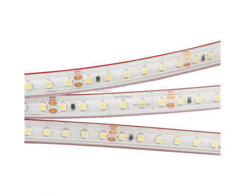 Основное фото Лента светодиодная Arlight RTW 2-5000PS 24V White6000 2x (3528, 600 LED, LUX) 022321: Купить в Интернет магазин освещения GCSVET.RU