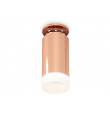 Светильник потолочный Ambrella Light Techno Spot XS6326082 (N6906, C6326, N6248)