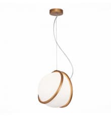 Светильник подвесной ST Luce Acerra SL1181.353.01