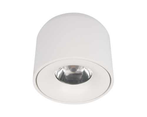 Основное фото Светильник накладной Loft IT Tictac 10219 White 3000K: Купить в Интернет магазин освещения GCSVET.RU