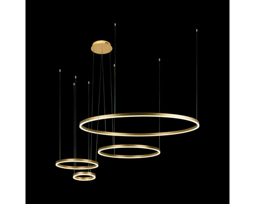 Дополнительное фото Светильник подвесной LED Loft IT Ring 10017/4S: Купить в Интернет магазин освещения GCSVET.RU