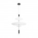 Дополнительное фото Светильник подвесной Loft IT Skylar 10244/C Black: Купить в Интернет магазин освещения GCSVET.RU