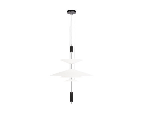 Основное фото Светильник подвесной Loft IT Skylar 10244/C Black: Купить в Интернет магазин освещения GCSVET.RU