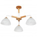 Основное фото Люстра потолочная Arte Lamp Matthew A5032PL-3BR: Купить в Интернет магазин освещения GCSVET.RU
