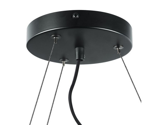 Дополнительное фото Люстра подвесная Lightstar Roma 718097: Купить в Интернет магазин освещения GCSVET.RU