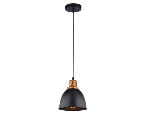 Основное фото Светильник подвесной Arte Lamp Eurica A4245SP-1BK: Купить в Интернет магазин освещения GCSVET.RU