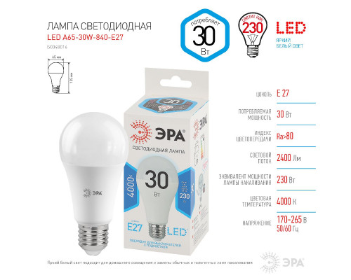 Основное фото Светодиодная лампочка Эра LED A65-30W-840-E27 Б0048016: Купить в Интернет магазин освещения GCSVET.RU