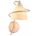 Основное фото Настенный светильник Arte Lamp Fabia A1565AP-1WG: Купить в Интернет магазин освещения GCSVET.RU