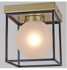 Светильник потолочный Illumico IL0050-1C-79
