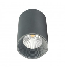 Светильник потолочный 20003 20003SMU/01LED SGY